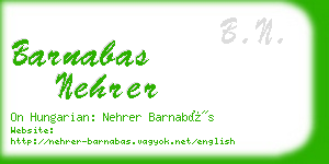 barnabas nehrer business card